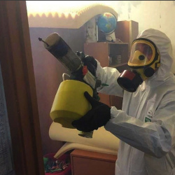 Уничтожение клопов в квартире. Михайлов